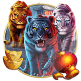 Tiger Stacks